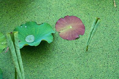 《战地2042》最新泄露枪械演示 可以瞄准时换弹